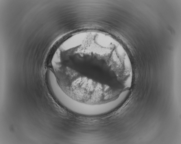 X0000111200975200908121106