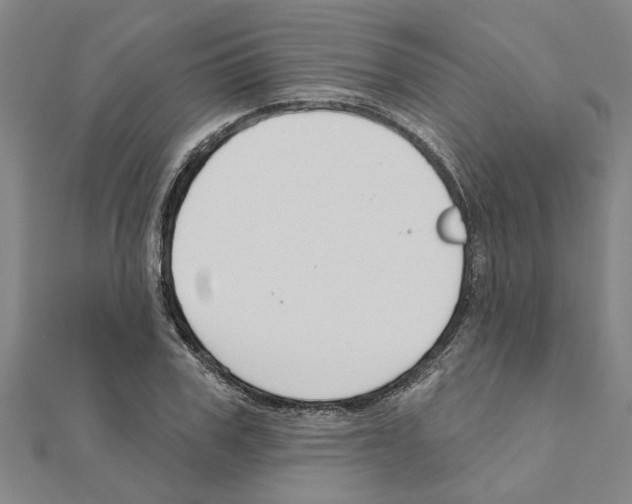 X0000111200979200908121106