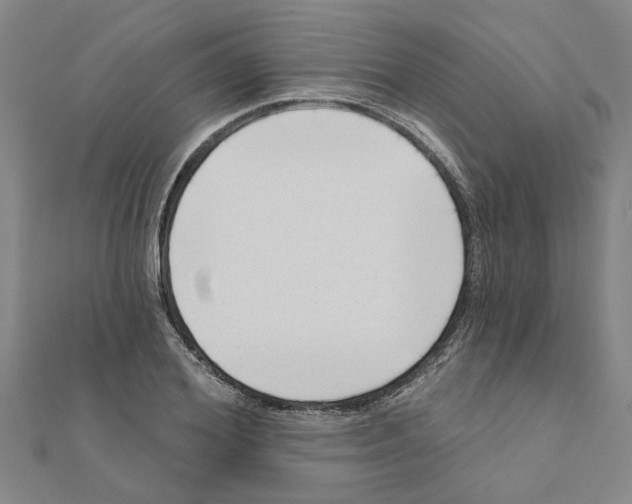 X0000111200980200908121106