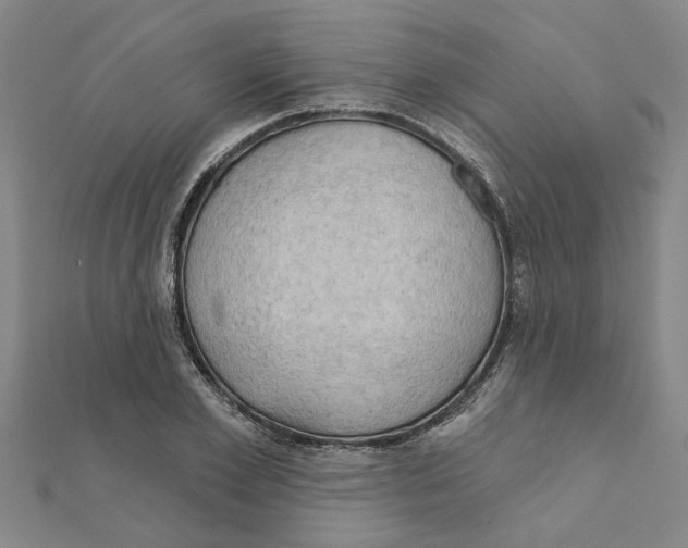 X0000111200981200908121106