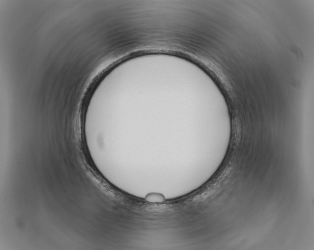 X0000111200982200908121106