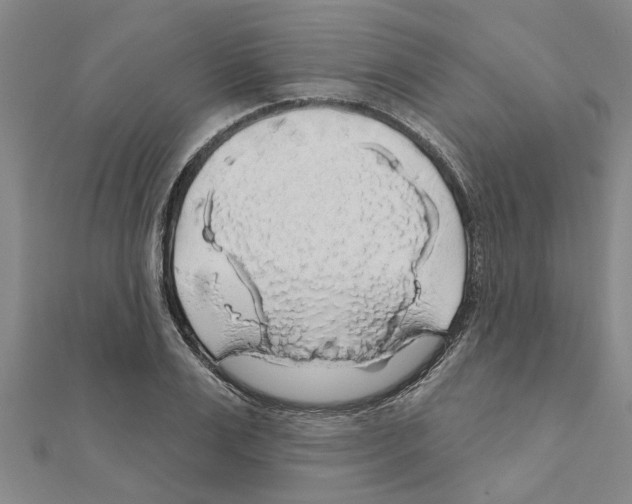 X0000111200983200908121106