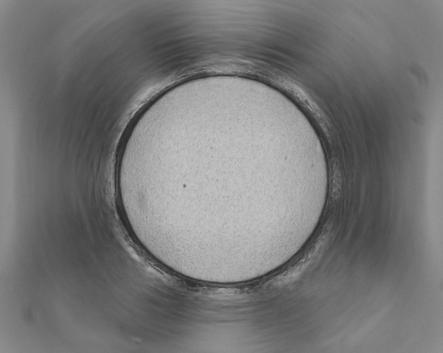 X0000111200986200908121106