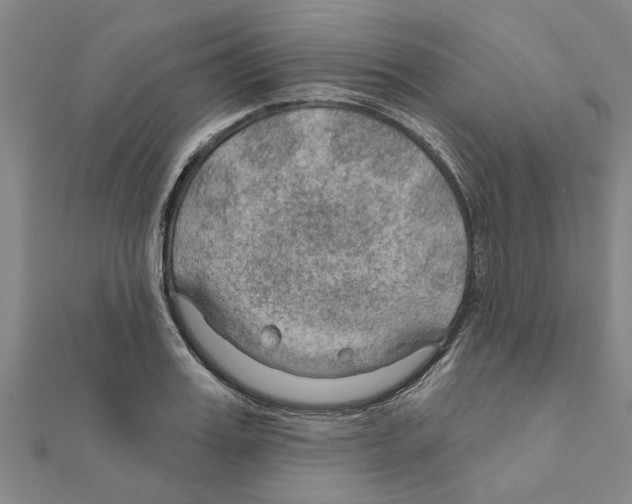 X0000111200987200908121106