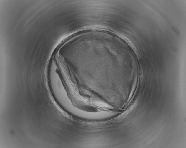 X0000111200989200908121106