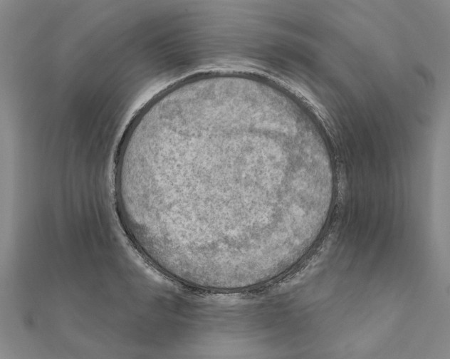 X0000111200990200908121106