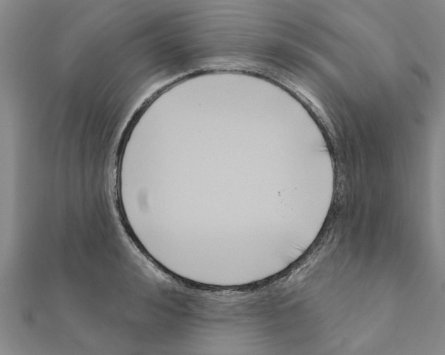 X0000111200992200908121106