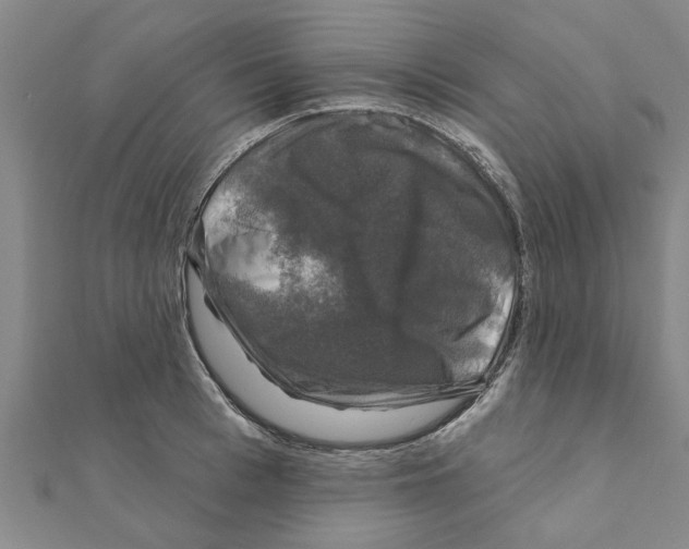 X0000111200993200908121106