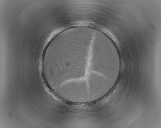 X0000111200994200908121106