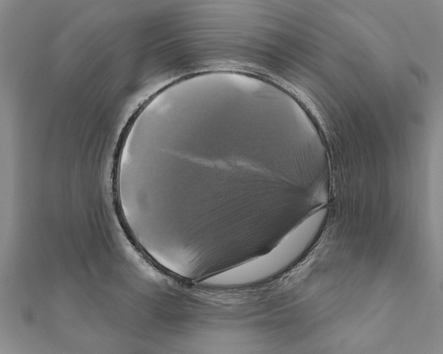 X0000111200995200908121106