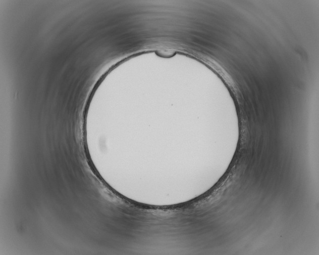 X0000111200996200908121106