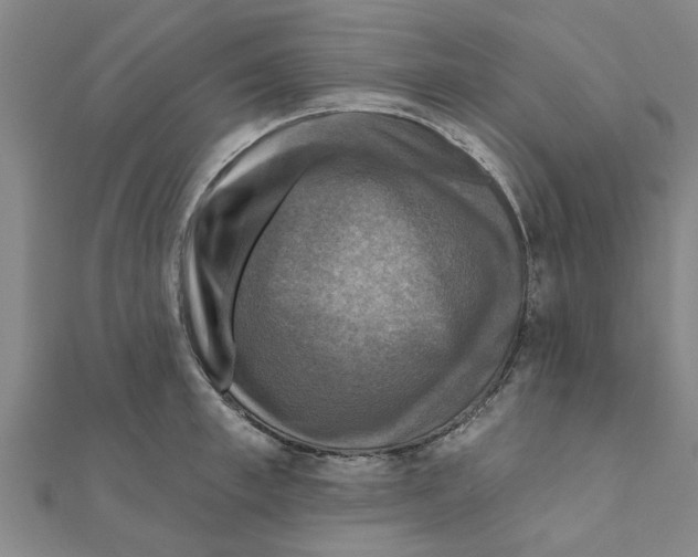 X0000111200997200908121106