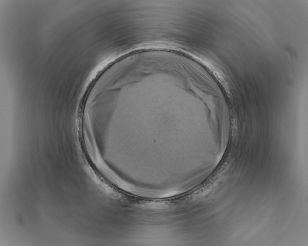 X0000111200998200908121106