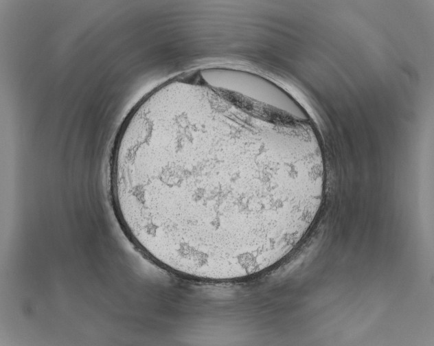 X0000111200999200908121106