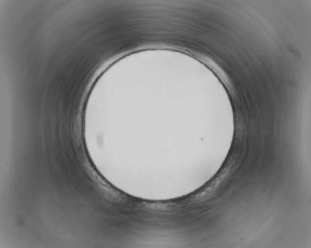 X0000111201004200908121106