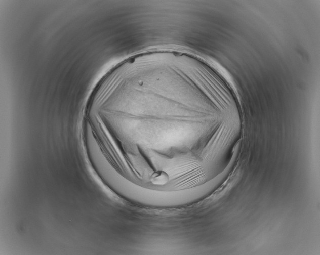 X0000111201005200908121106