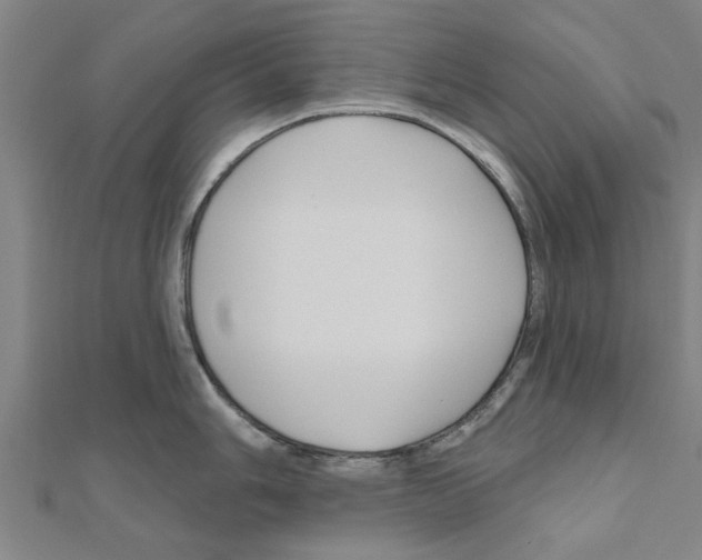 X0000111201006200908121106