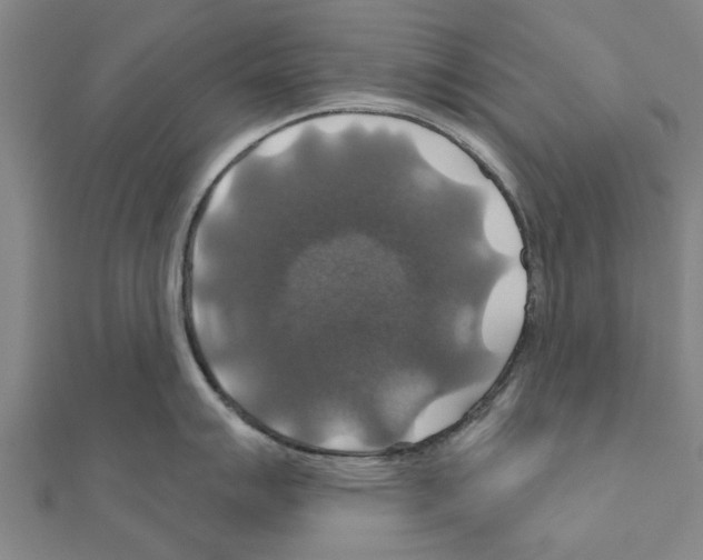 X0000111201007200908121106