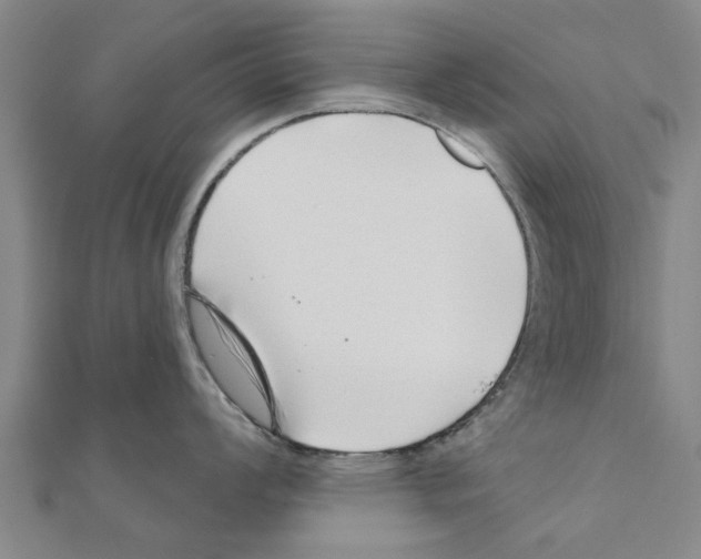 X0000111201008200908121106