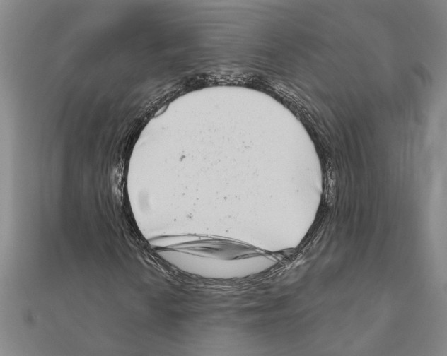 X0000111201010200908121105