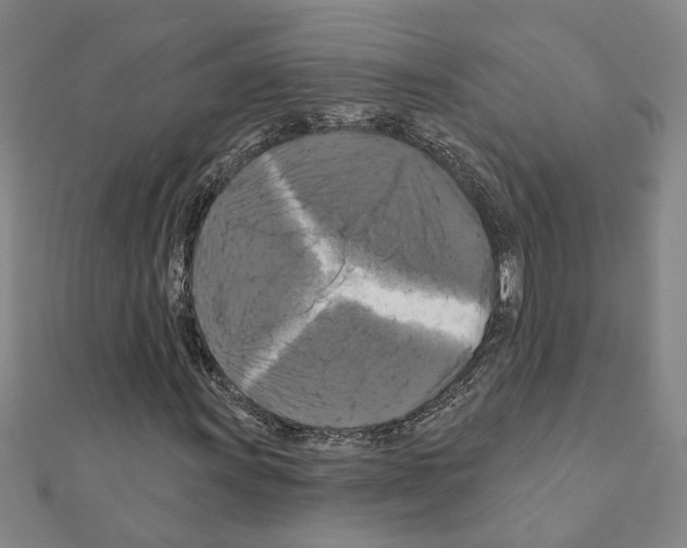 X0000111201011200908121105