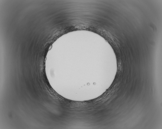 X0000111201012200908121105