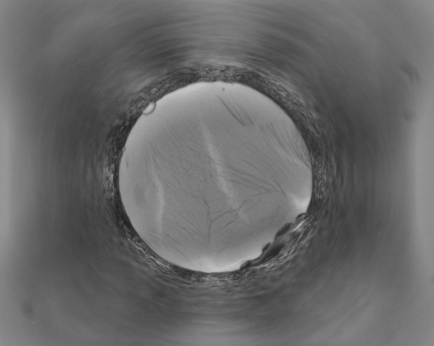 X0000111201013200908121105