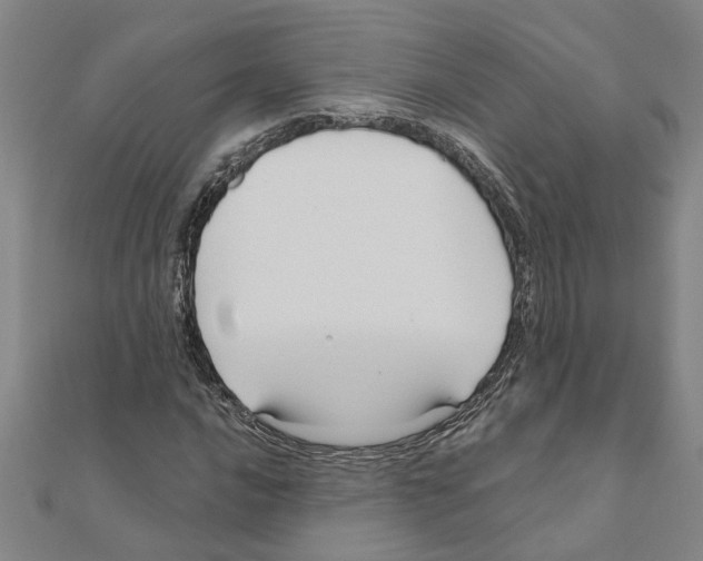 X0000111201016200908121105