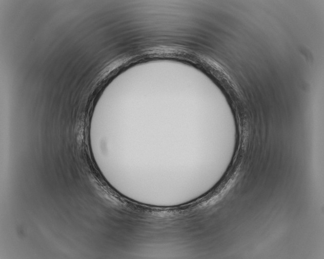 X0000111201017200908121105