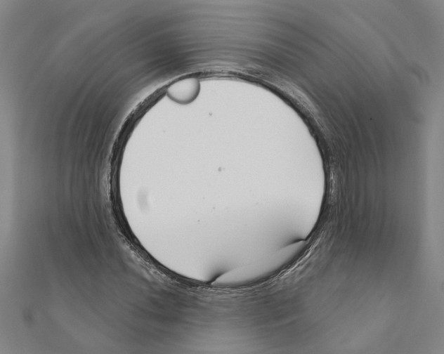 X0000111201020200908121105