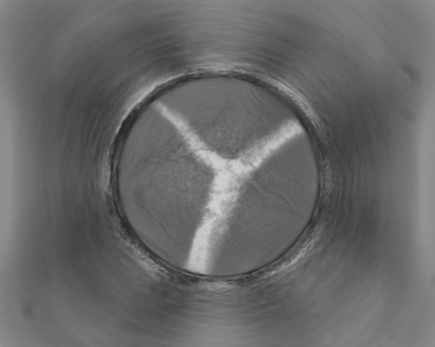 X0000111201023200908121105