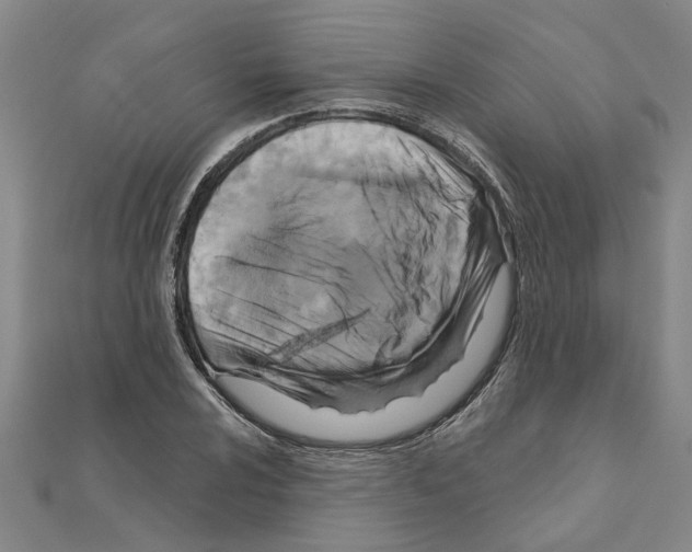 X0000111201024200908121105