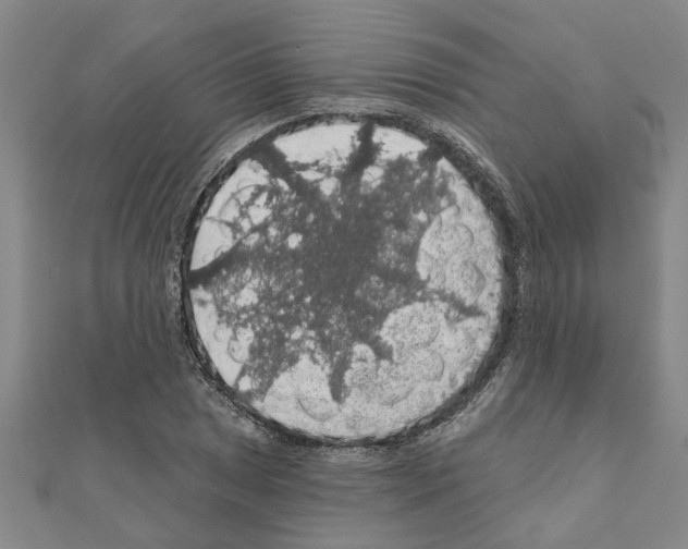 X0000111201025200908121105