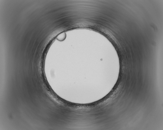 X0000111201026200908121105