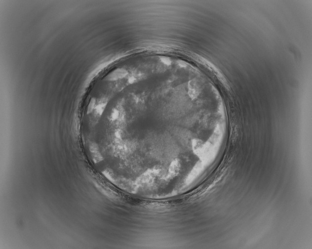 X0000111201027200908121105