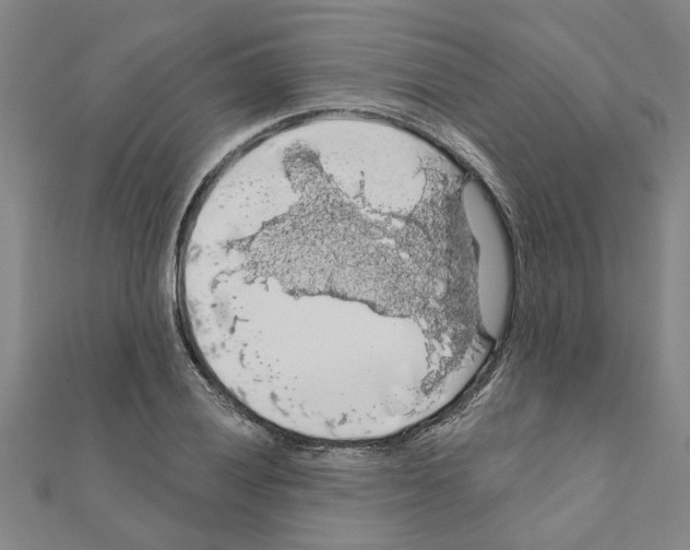 X0000111201028200908121105