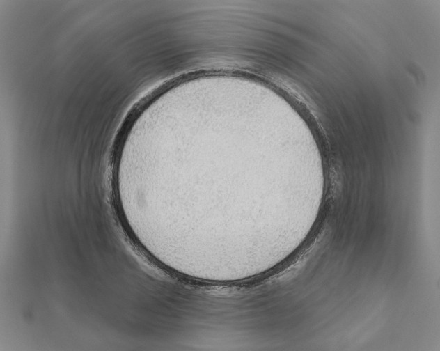 X0000111201029200908121105