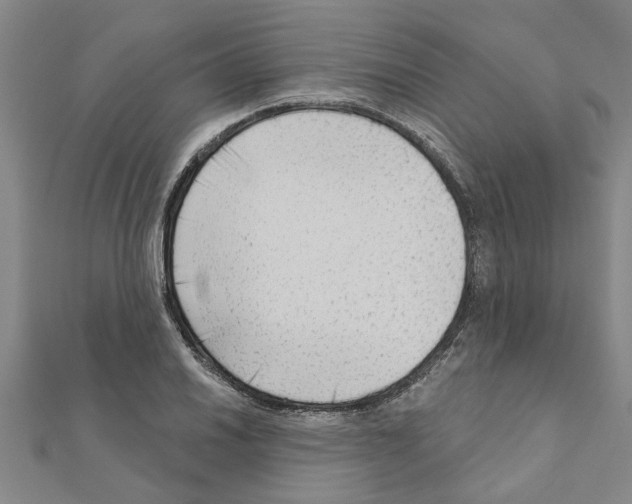 X0000111201030200908121105