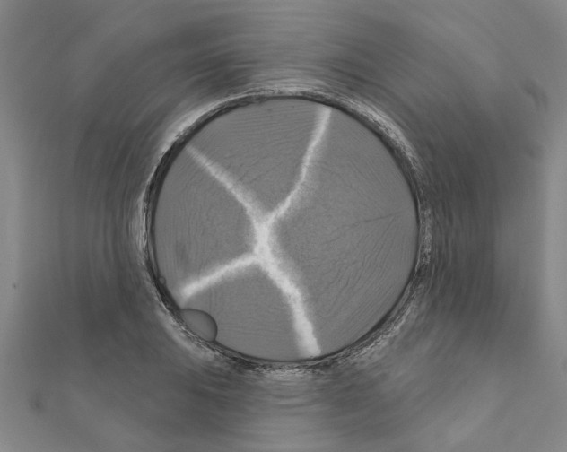 X0000111201031200908121105