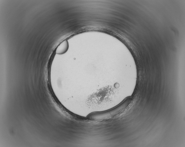 X0000111201034200908121106