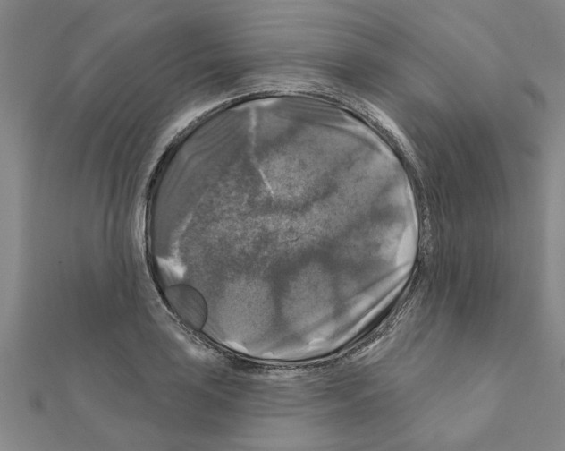 X0000111201035200908121106