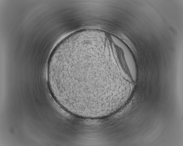 X0000111201036200908121106