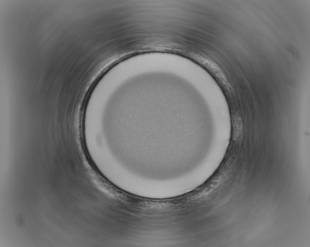 X0000111201039200908121106