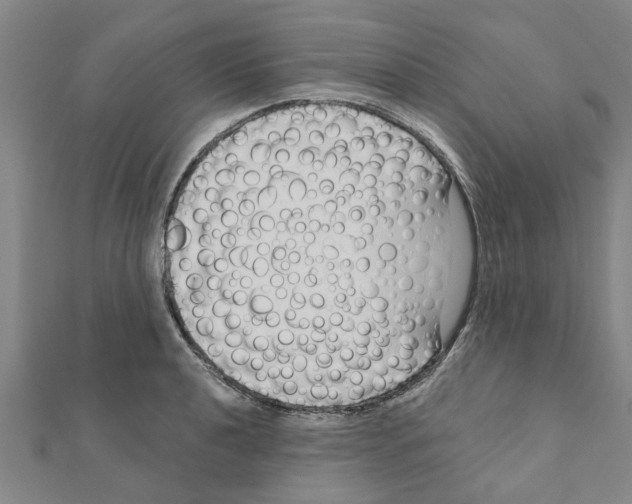 X0000111201040200908121106