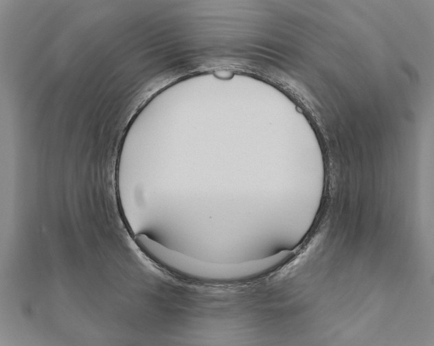 X0000111201041200908121106