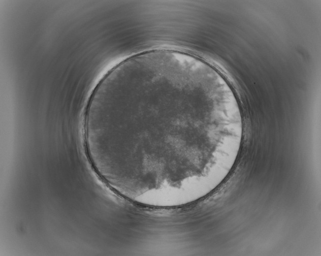 X0000111201048200908121106