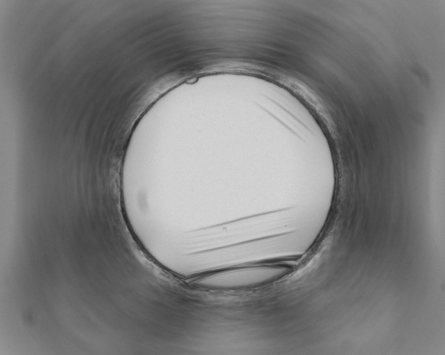 X0000111201049200908121106