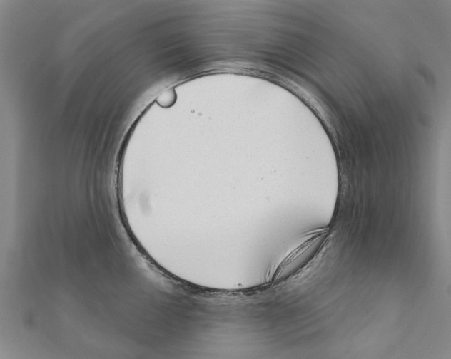 X0000111201050200908121106