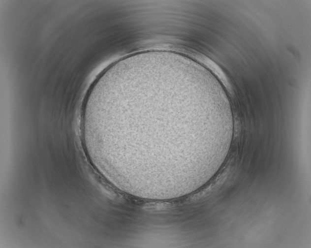 X0000111201051200908121106