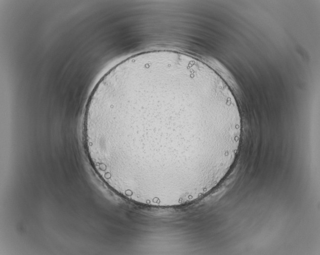 X0000111201052200908121106